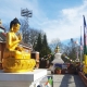 The Buddhist Community Centre